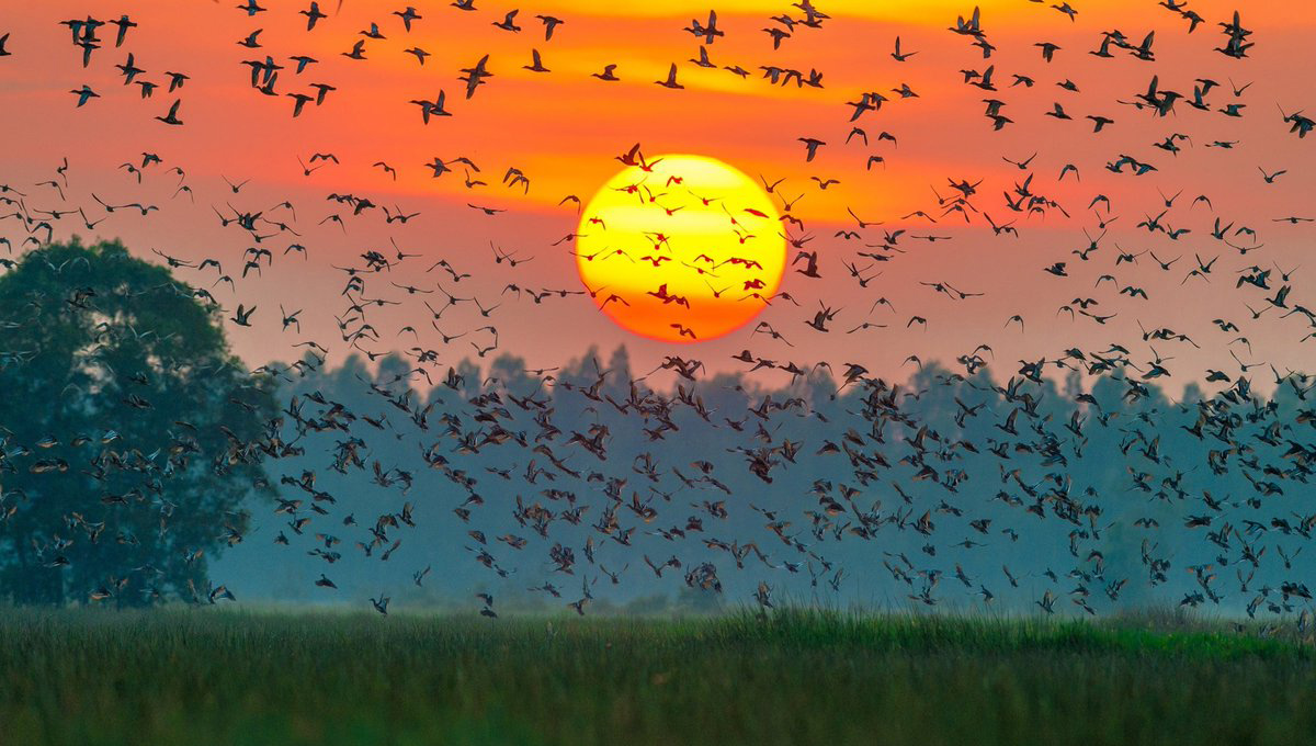 Tour liên tuyến 13 TỈNH MIỀN TÂY NAM BỘ 5N4Đ - Hình ảnh 3