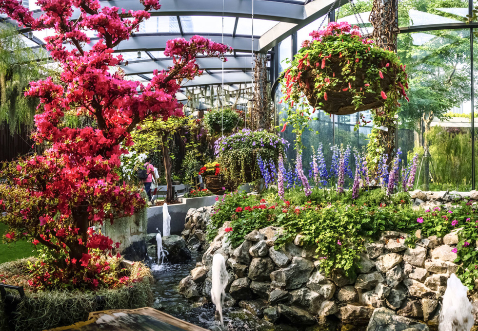 Tour Singapore 3N2Đ - Đảo Sentosa - Vườn Siêu Cây - Marina Bay Sand - Botanic Garden - Công Viên Sư Tử Biển - Jewel Changi - Hình ảnh 4